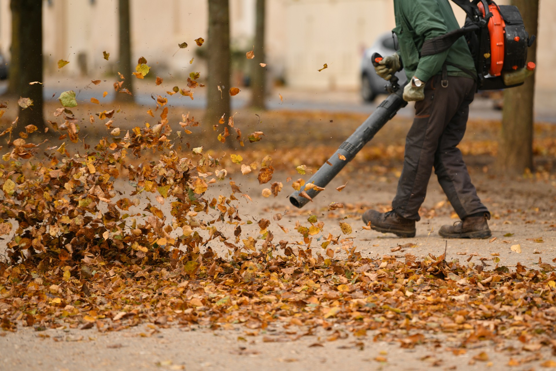 Fall clean up